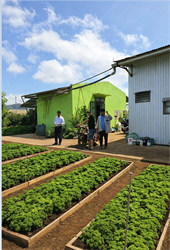 CHUYỂN ĐỔI SỐ TRONG SẢN XUẤT RAU VIETGAP – BƯỚC TIẾN TẤT YẾU HƯỚNG TỚI NÔNG NGHIỆP MINH BẠCH VÀ BỀN VỮNG